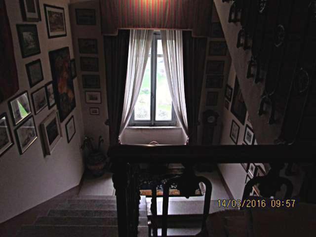 Photo of Others in Corridonia