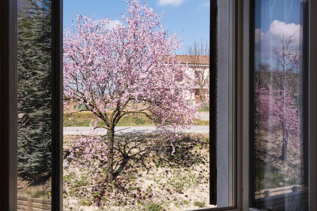 Photo of Others in Nizza Monferrato