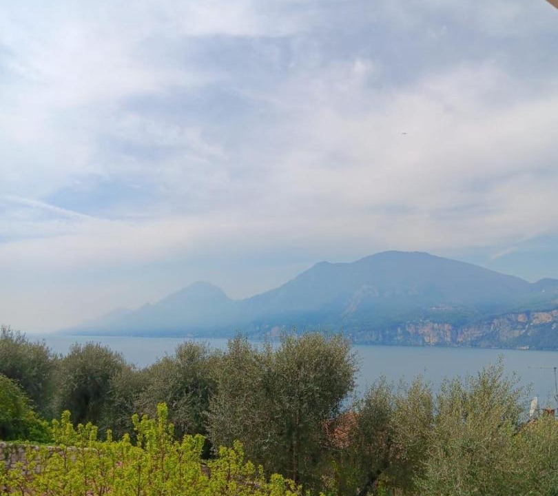 Photo of Others in Assenza