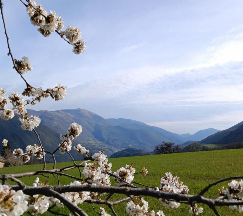Photo of Others in Vallo di Nera