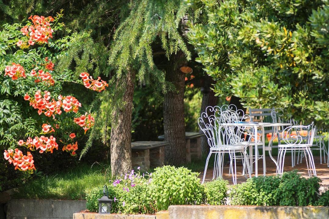 Photo of Others in Nizza Monferrato