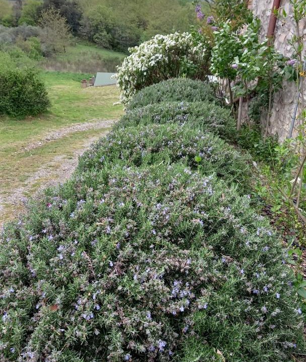 Photo of Outdoor in Rapolano Terme