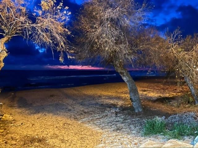 Photo of Others in Marina di Lizzano