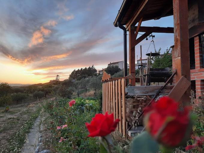 Photo of Others in Campobasso