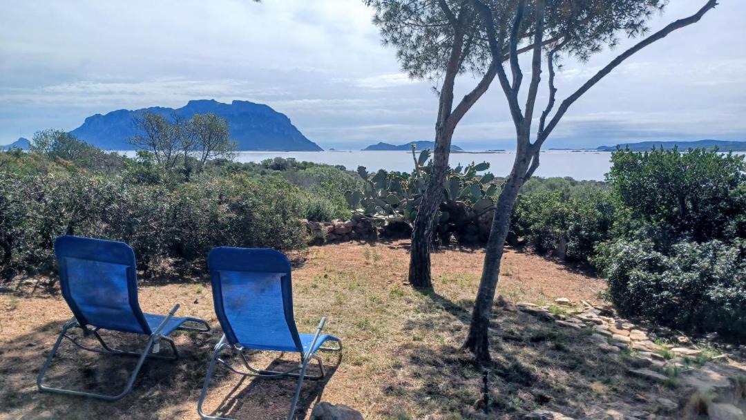 Photo of Others in Porto Istana