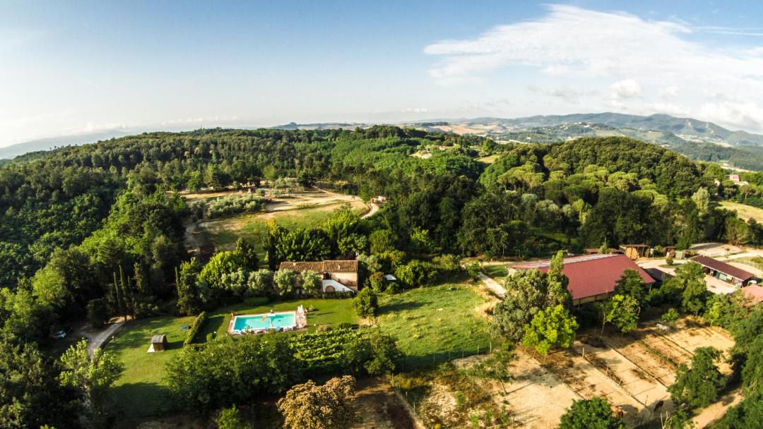 Photo of Outdoor in Fauglia
