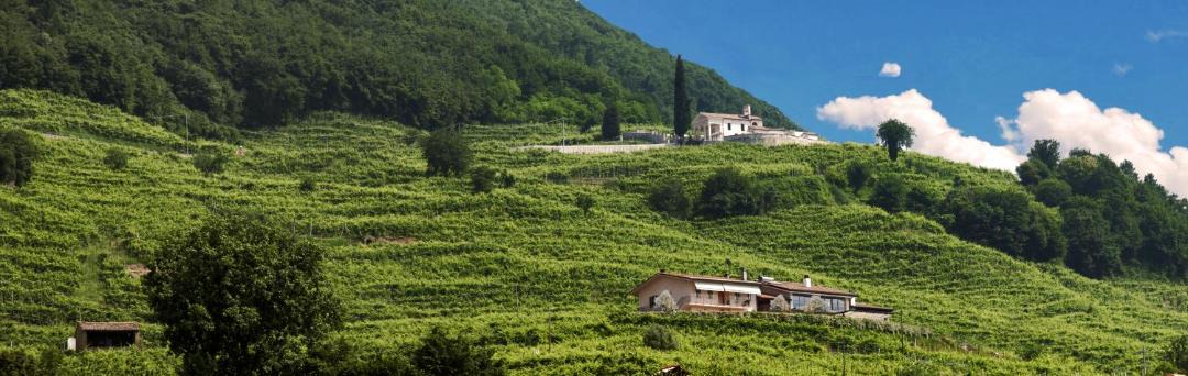 Photo of Others in Valdobbiadene