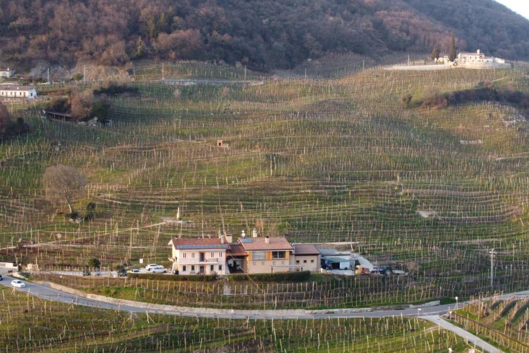 Photo of Others in Valdobbiadene