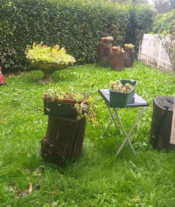 Photo of Outdoor in Castellamonte