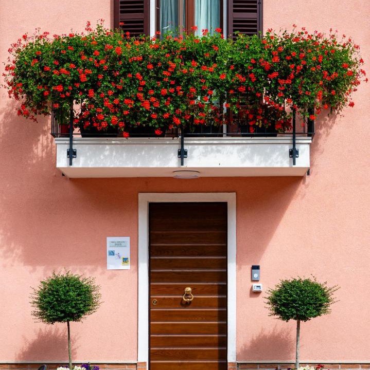 Photo of Others in Visso