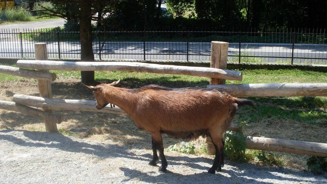 Photo of Others in Sparone