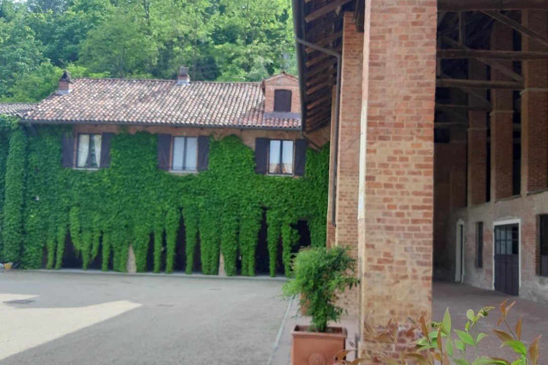 Photo of Others in Rocchetta Tanaro
