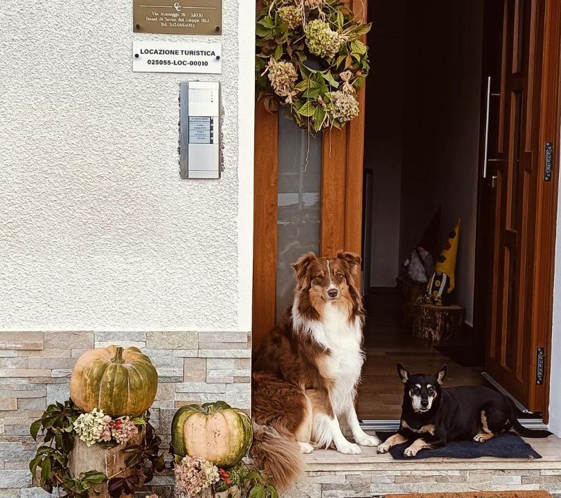 Photo of Others in Seren del Grappa