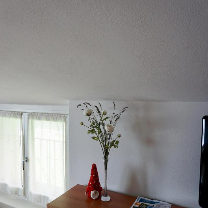 Photo of Others in Bossico
