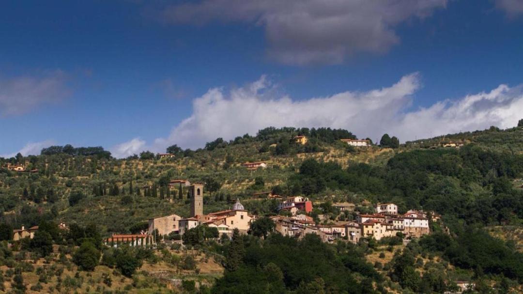 Photo of Others in Massa e Cozzile