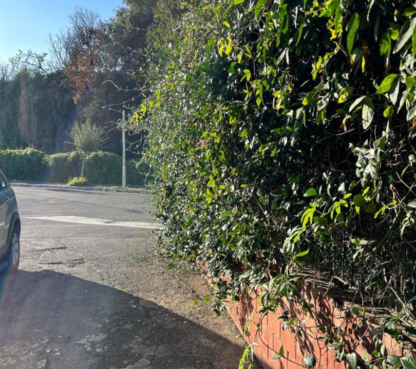 Photo of Outdoor in Quartiere XXIX Ponte Mammolo