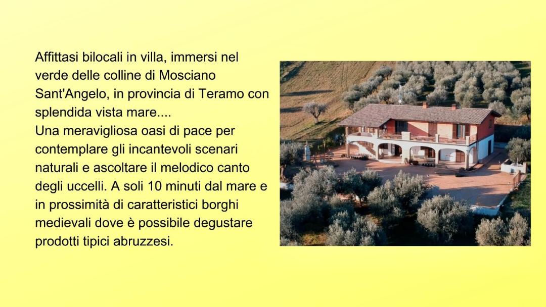 Photo of Others in Mosciano Sant'Angelo