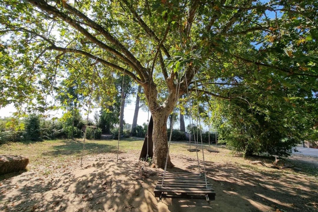 Photo of Others in Ostia Antica