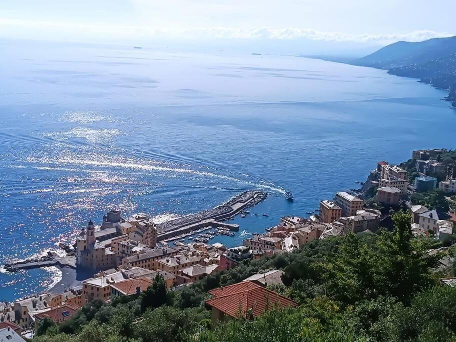 Photo of Others in Recco