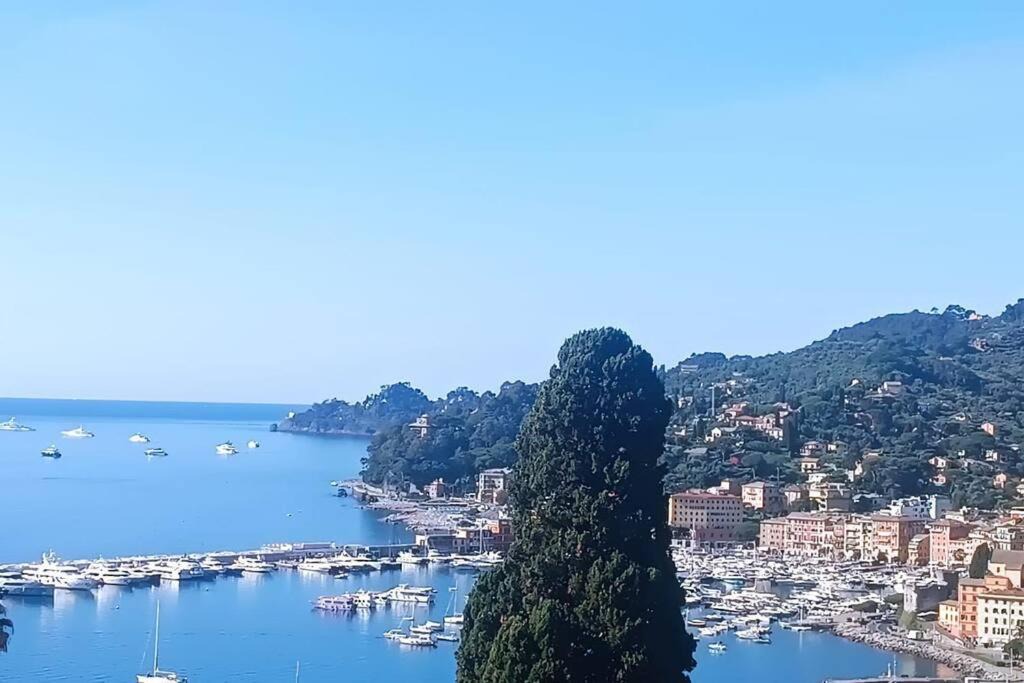 Photo of Others in Recco