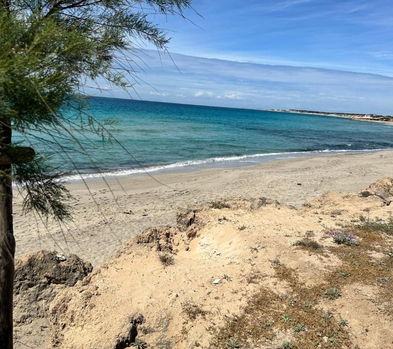 Photo of Others in Marina di Lizzano