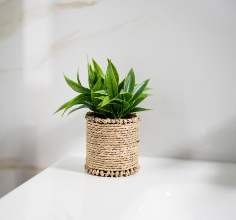 Photo of Bathroom in Marina di Lizzano