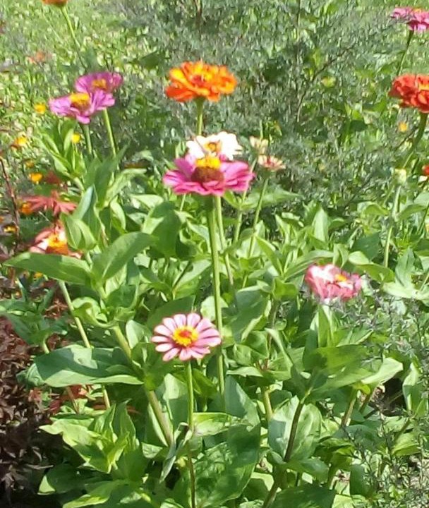 Photo of Outdoor in Marliana