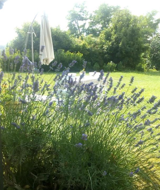 Photo of Outdoor in Marliana