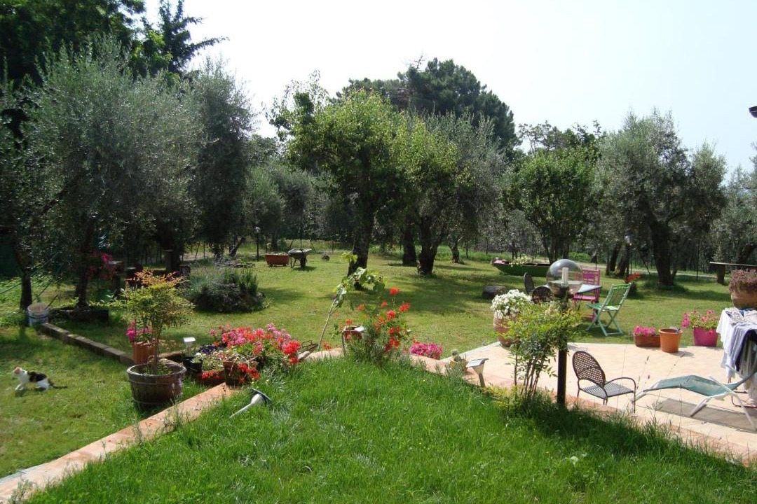 Photo of Others in Marliana