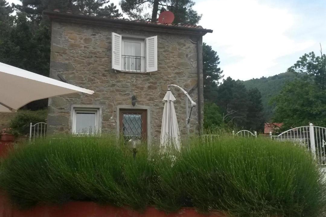 Photo of Others in Marliana