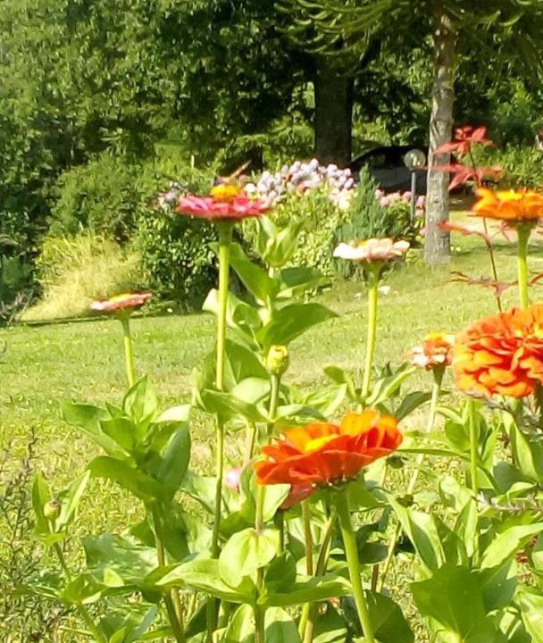 Photo of Outdoor in Marliana