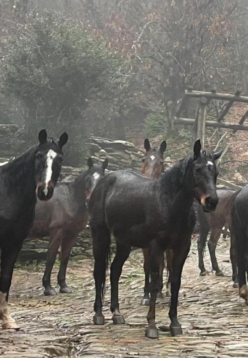 Photo of Others in Massa