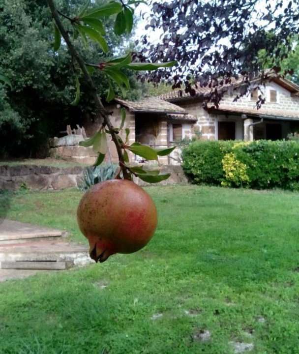 Photo of Others in Corchiano