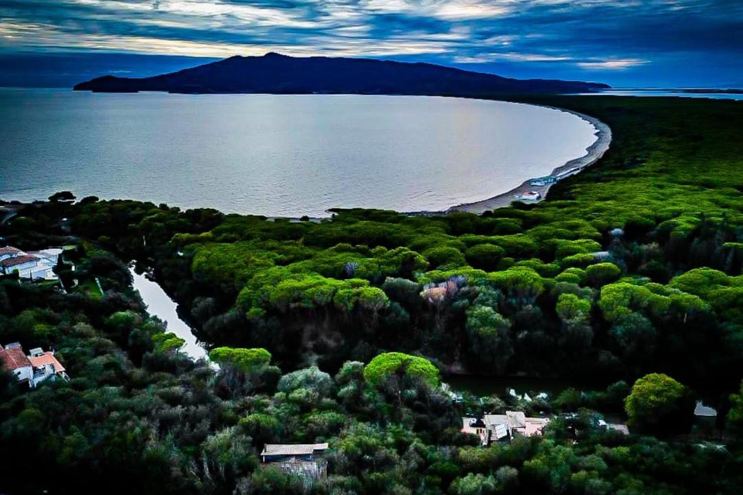 Photo of Others in Ansedonia