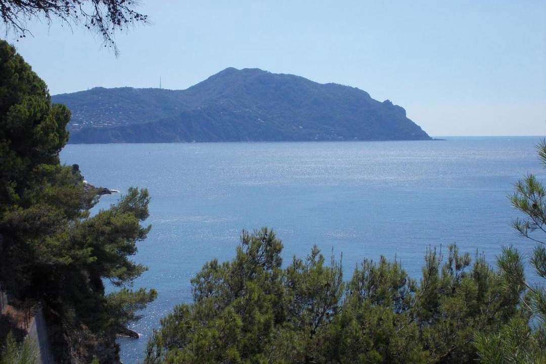 Photo of Outdoor in Sori