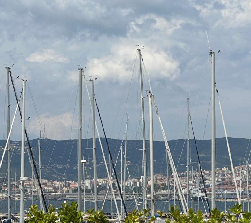 Photo of Others in Muggia