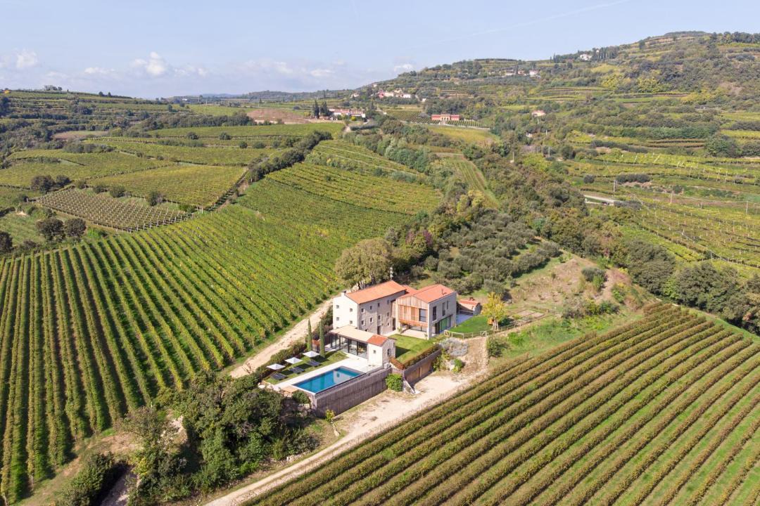 Photo of Others in Soave