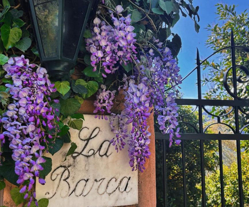 Photo of Others in Casanova Lerrone