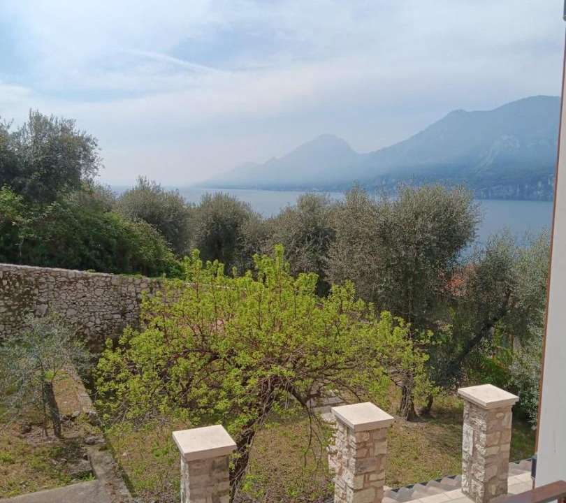 Photo of Others in Assenza