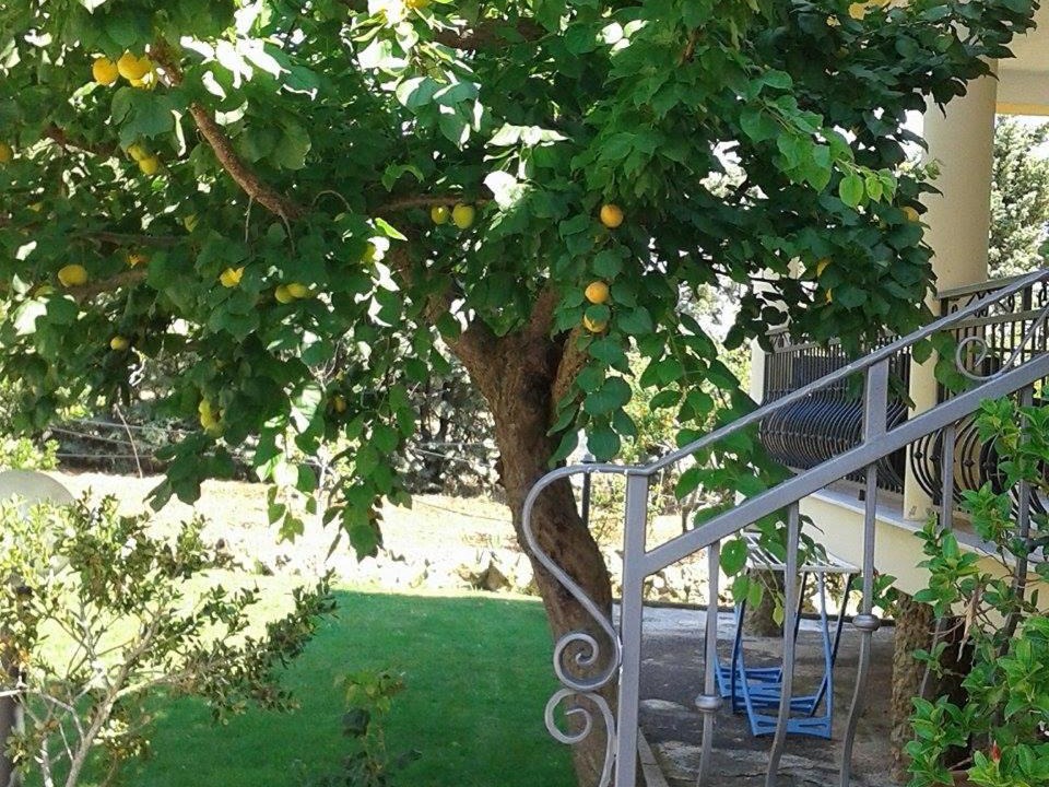 Photo of Patio Balcony in Alghero