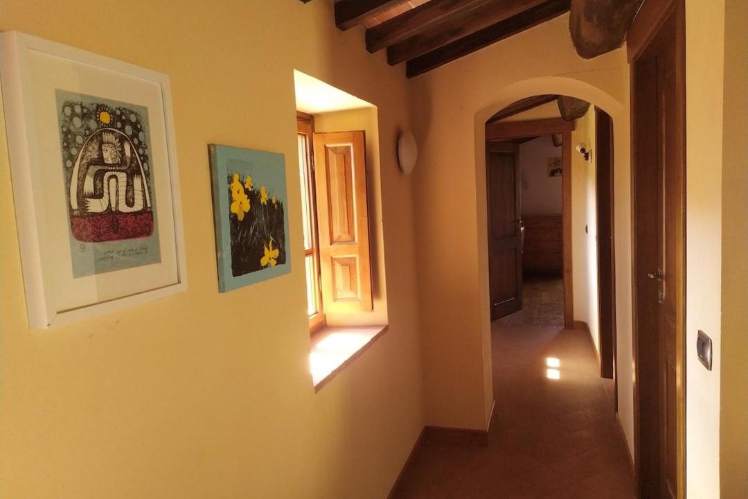 Photo of Others in San Romano in Garfagnana