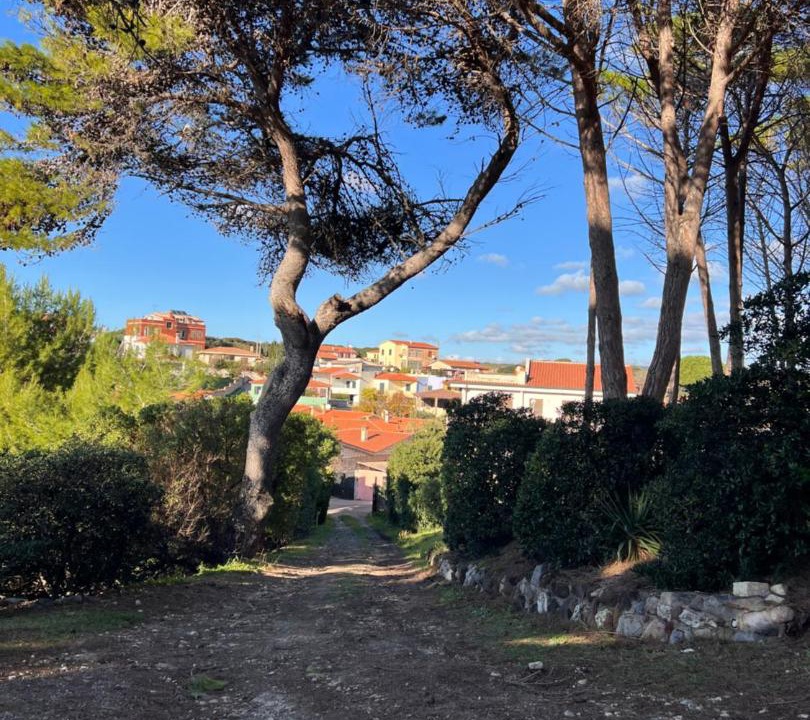 Photo of Outdoor in Santa Caterina