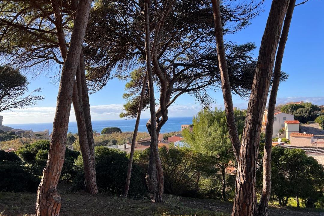 Photo of Others in Santa Caterina