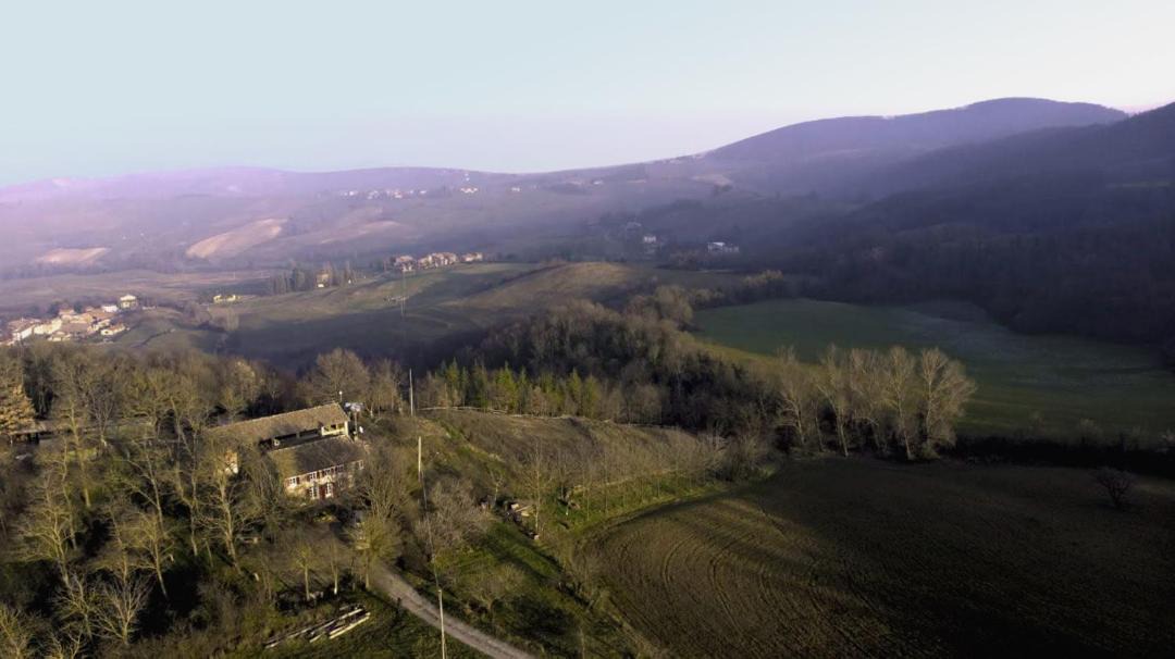 Photo of Others in Langhirano