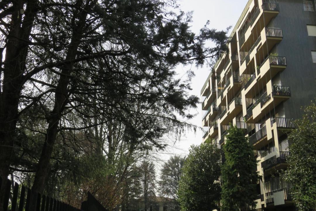Photo of Others in Saronno