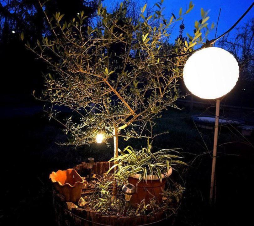 Photo of Outdoor in Narni