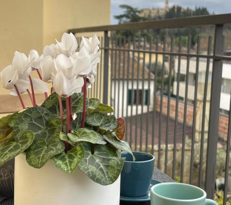 Photo of Patio Balcony in Galluzzo