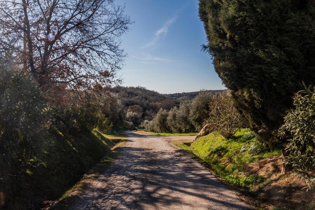 Photo of Others in Magliano in Toscana