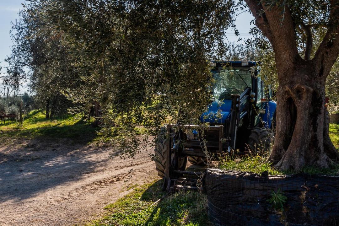 Photo of Others in Magliano in Toscana