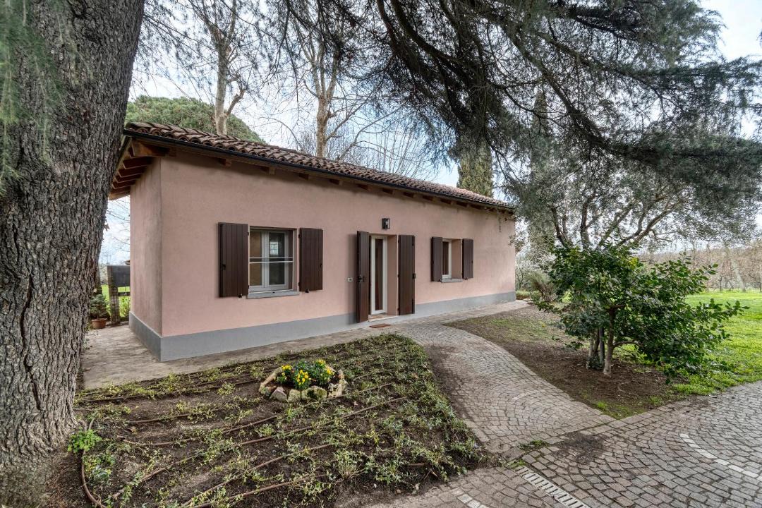 Photo of Others in San Lazzaro di Savena